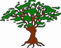 Tree Service Fort Myers Logo