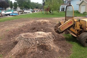Stump Grinding Service Fort Myers